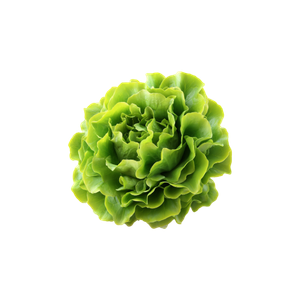 Salade verte